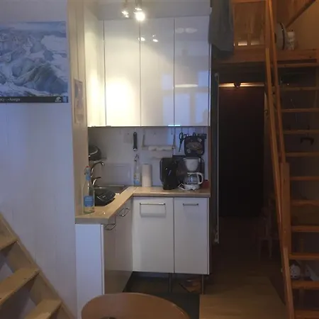 F3 Au 2eme Etage, Wifi, Animaux Acceptes, 4 Couchages Le Mont-Dore