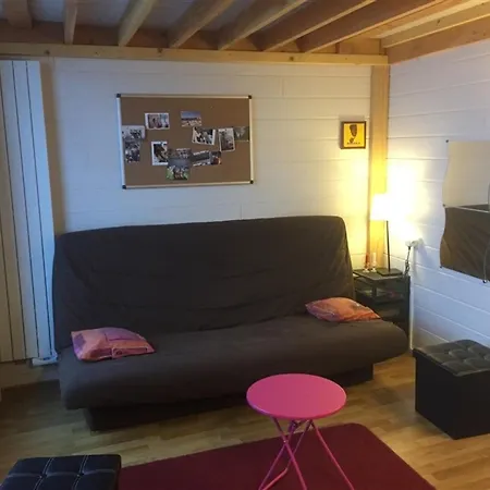 Appartement F3 Au 2eme Etage, Wifi, Animaux Acceptes, 4 Couchages Le Mont-Dore