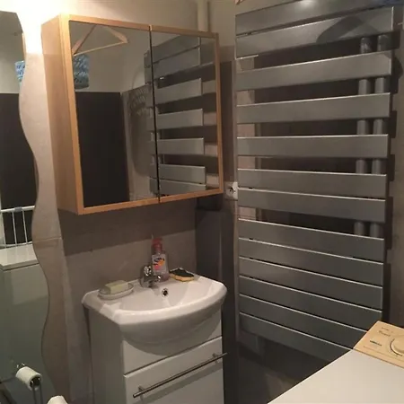 F3 Au 2eme Etage, Wifi, Animaux Acceptes, 4 Couchages Le Mont-Dore