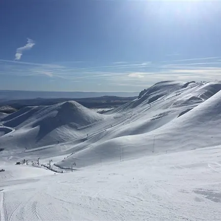 F3 Au 2eme Etage, Wifi, Animaux Acceptes, 4 Couchages - Fr-1-415-164 Le Mont-Dore